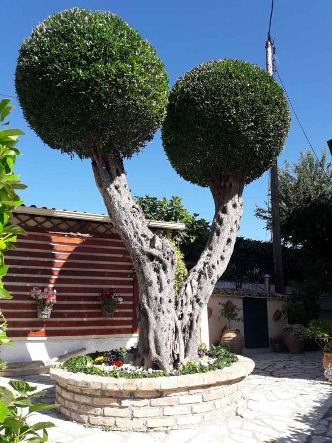 Flowers Studios بينيتسيس المظهر الخارجي الصورة