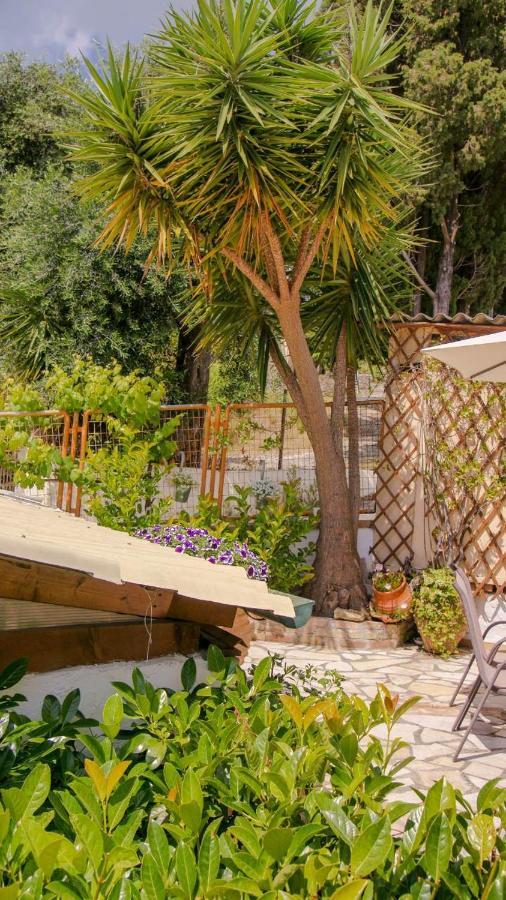 Flowers Studios بينيتسيس المظهر الخارجي الصورة
