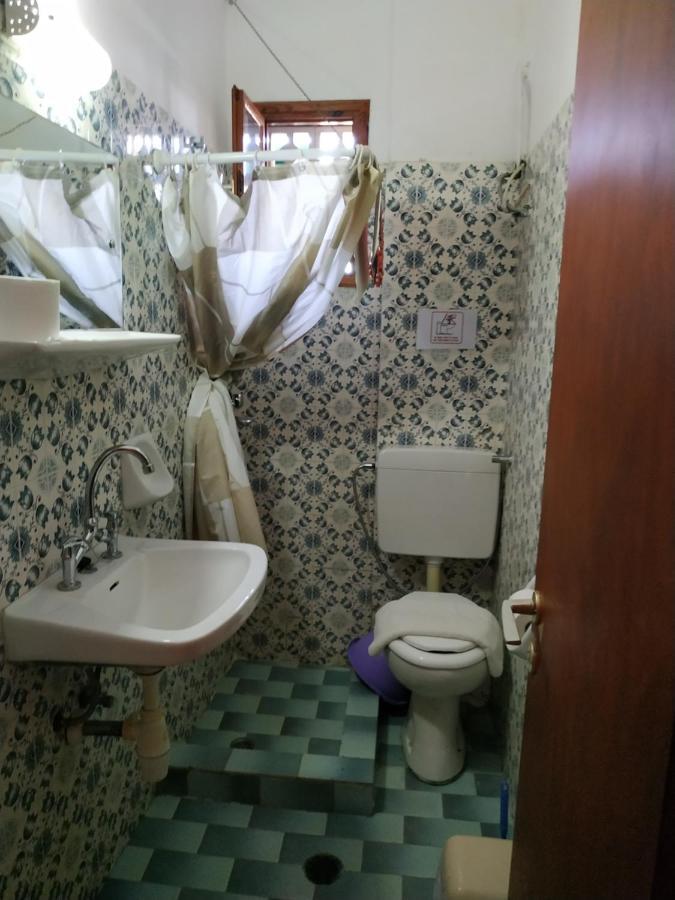 Flowers Studios بينيتسيس المظهر الخارجي الصورة